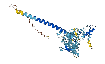 PSMC4 3D structure