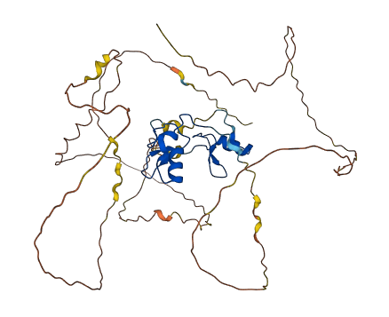 GATA4 3D structure