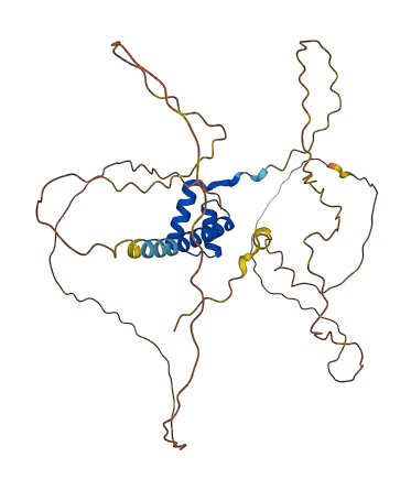 NKX2-1 3D structure