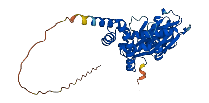 TSFM 3D structure