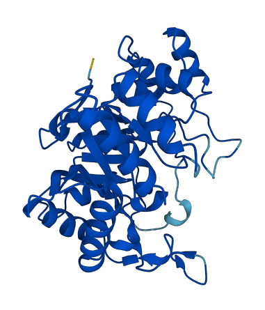 Akr1b8 3D structure
