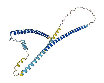 TNNT3 3D structure