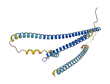 TNNT2 3D structure