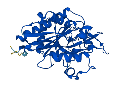 ASPA 3D structure