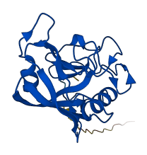 PPIC 3D structure