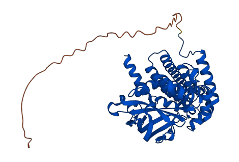 ACADSB 3D structure