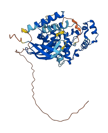 MAPK9 3D structure