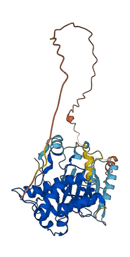 MAP2K4 3D structure