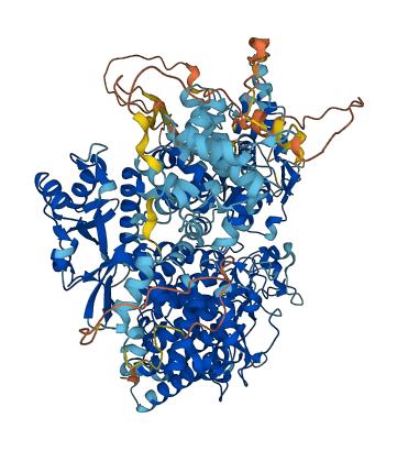 PHKA2 3D structure