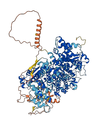 PHKA1 3D structure