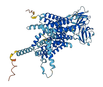 SLC15A1 3D structure