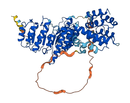 RANGAP1 3D structure