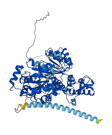 RECQL 3D structure