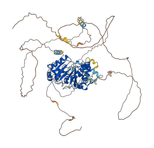 NOP2 3D structure