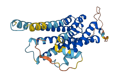 GPR3 3D structure