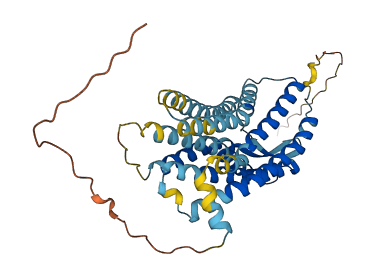 CCR10 3D structure