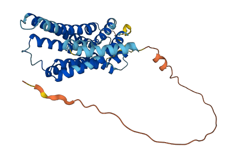 GPR4 3D structure