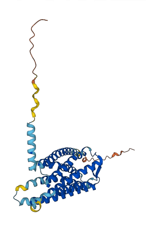 XCR1 3D structure