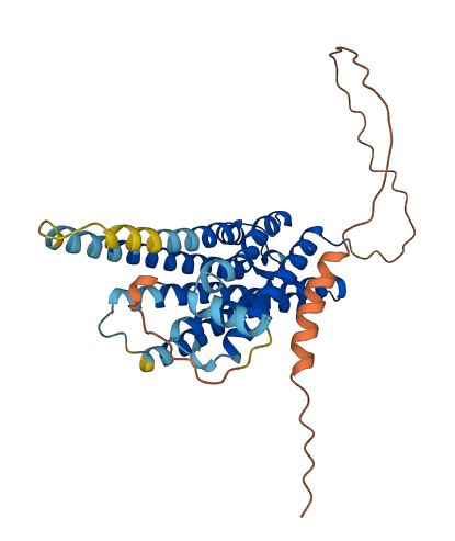GPR6 3D structure