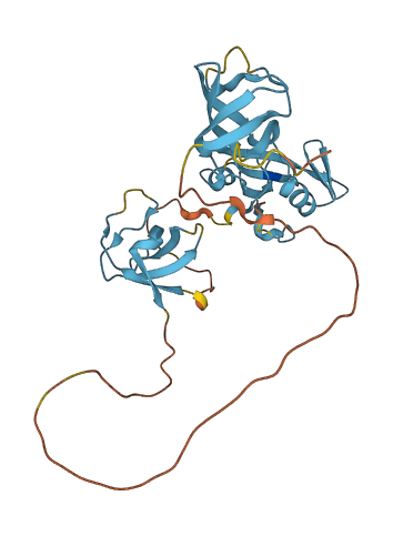 CRKL 3D structure