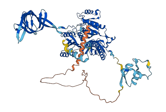 MTIF2 3D structure