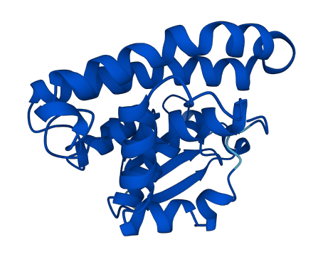 Gstp2 3D structure