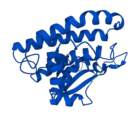 GSTM5 3D structure
