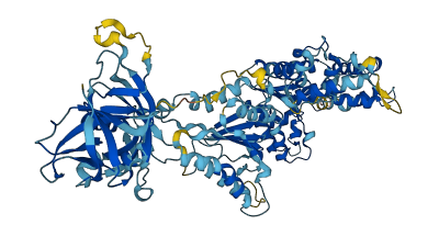 NSF 3D structure