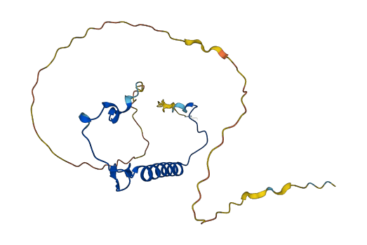 CDKN1B 3D structure