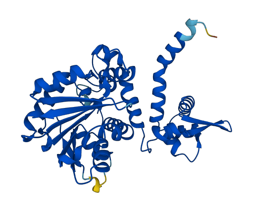 ASMT 3D structure
