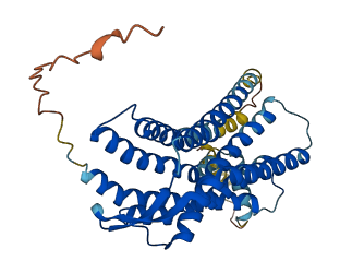 BDKRB1 3D structure