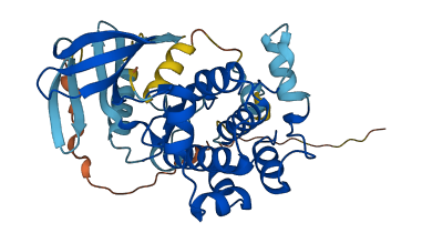 MAP2K3 3D structure