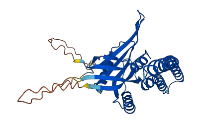 BRCC3 3D structure