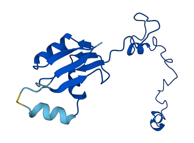 RPL27A 3D structure