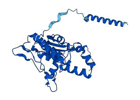RPL5 3D structure