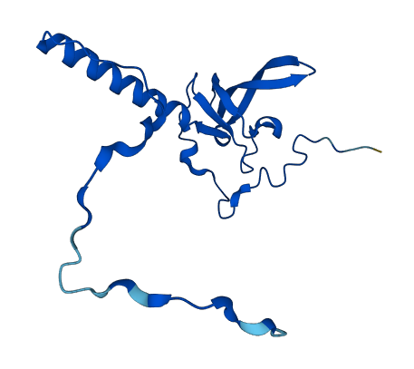 RPL21 3D structure