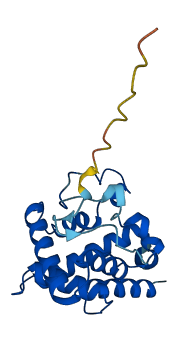 RPS5 3D structure
