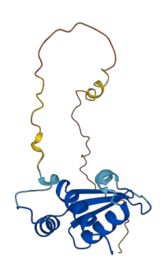 RPS10 3D structure