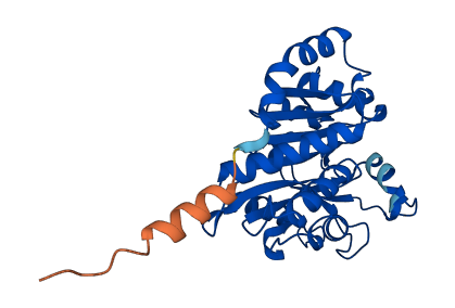 GNPDA1 3D structure