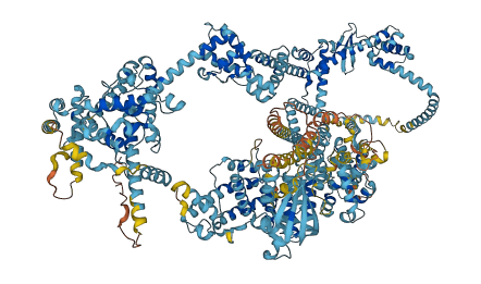 IQGAP1 3D structure