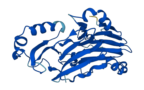 HAAO 3D structure