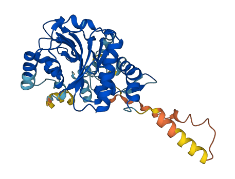 GYG1 3D structure