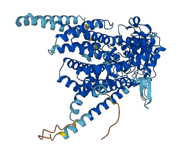 STT3A 3D structure