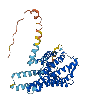 GALR1 3D structure