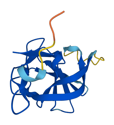 RABIF 3D structure