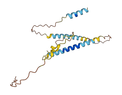 CSN1S1 3D structure