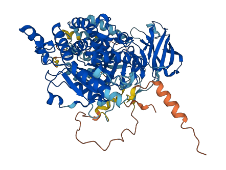 PLA2G4A 3D structure
