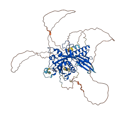 RAP1GAP 3D structure