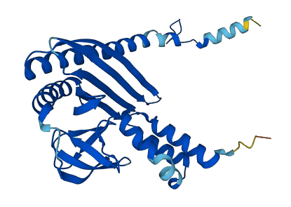 CAPZA2 3D structure