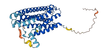 GPR12 3D structure